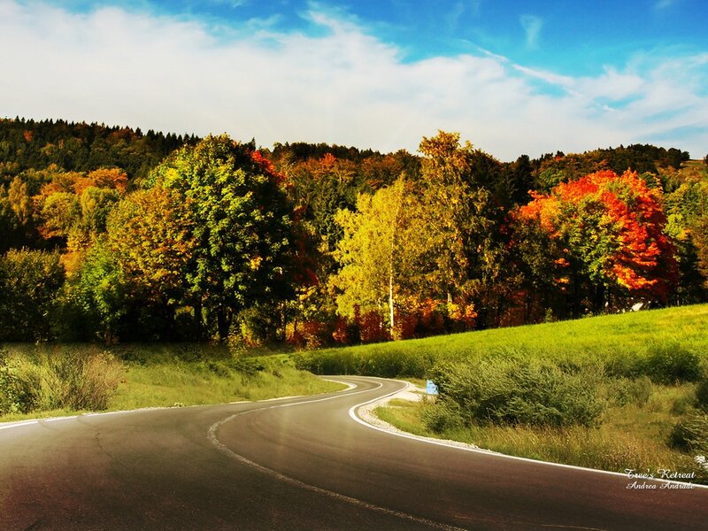 Winding Road in Autumn — Green