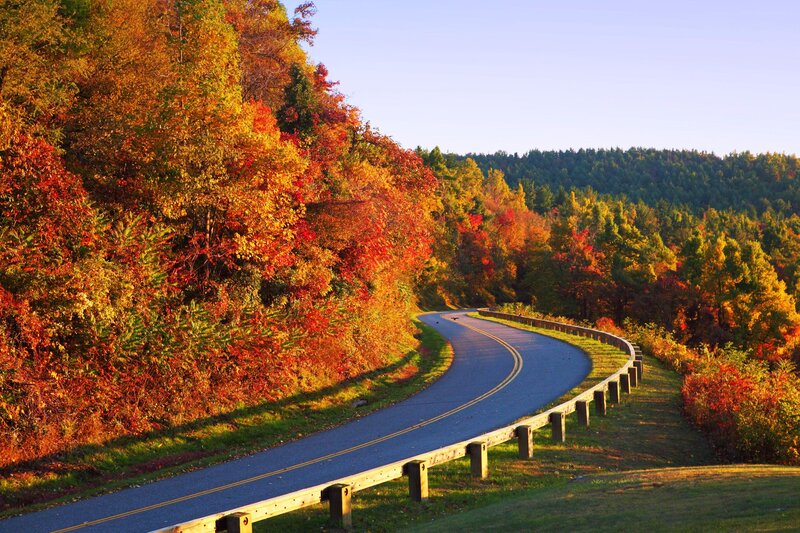 Winding Road in Autumn — Orange, Serene, Photograph, Trees, Guardrail