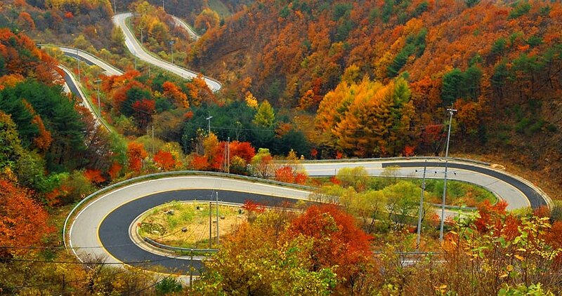 Winding Road in Autumn — Orange, Serene, Photograph, Trees, Hills