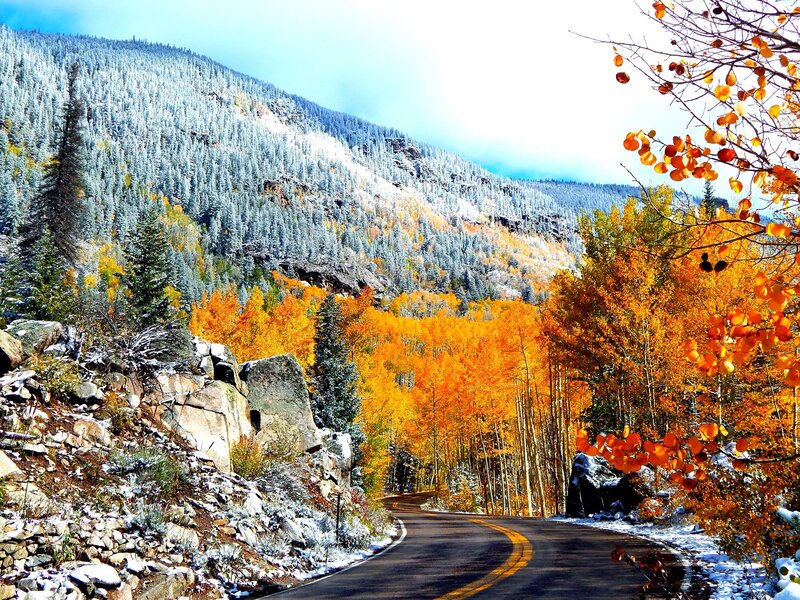 Winding Road in Autumn — Orange, Serene, Photograph, Trees, Mountain