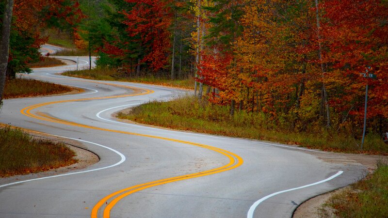 Winding Road in Autumn — Orange, Serene, Photograph, Trees, Sign