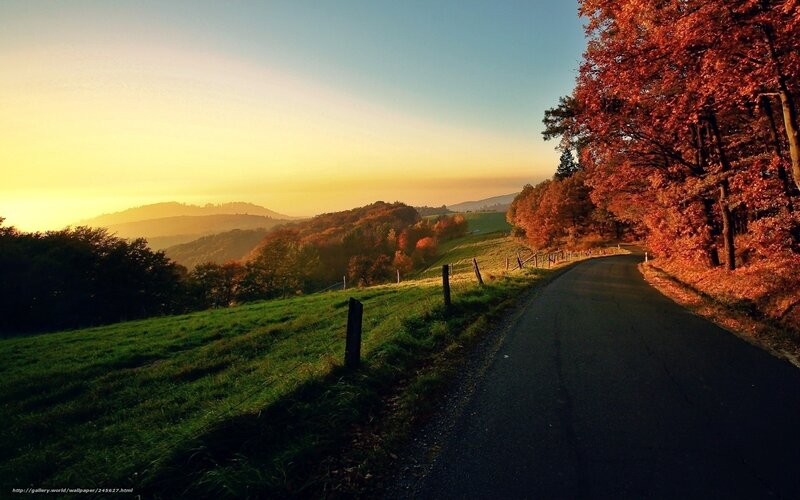 Winding Road in Autumn — Orange, Serene, Sunset, Photograph, Trees