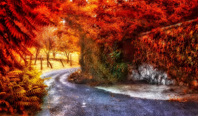 Winding Road in Autumn — Red