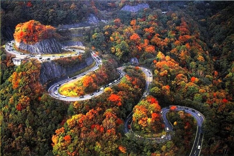 Winding Road in Autumn