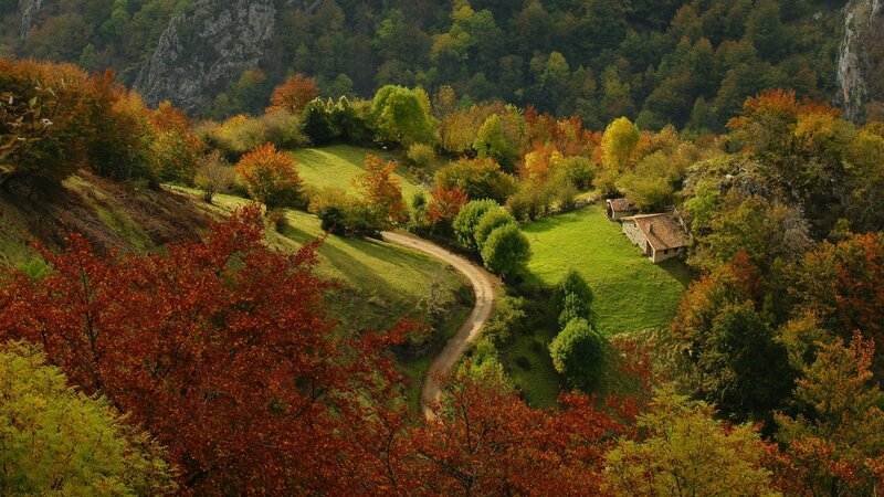 Winding Road in Autumn Valley — Green