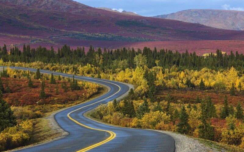 Winding Road in Autumn — Yellow, Serene, Photograph, Mountains