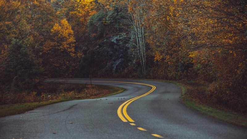 Winding Road in Autumn — Yellow, Serene, Photograph, Trees, Fall Foliage