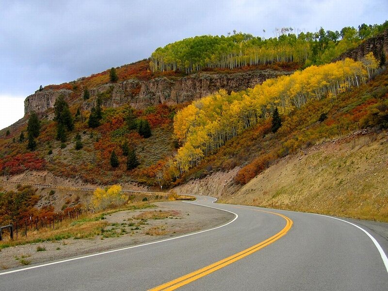 Winding Road in Autumn — Yellow, Serene, Photograph, Trees, Hillside
