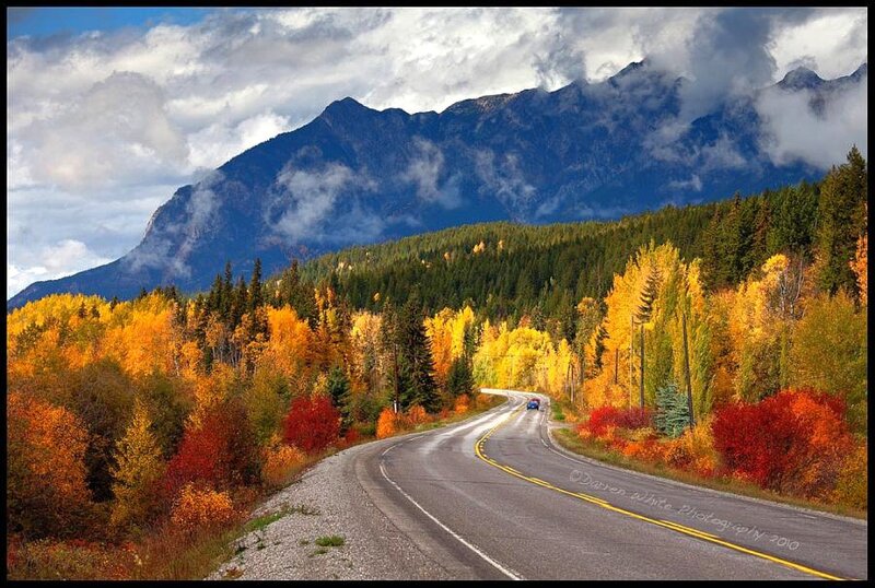 Winding Road in Autumn — Yellow
