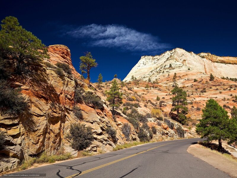 Winding Road in Canyon — Blue, Dramatic, Afternoon, Photograph