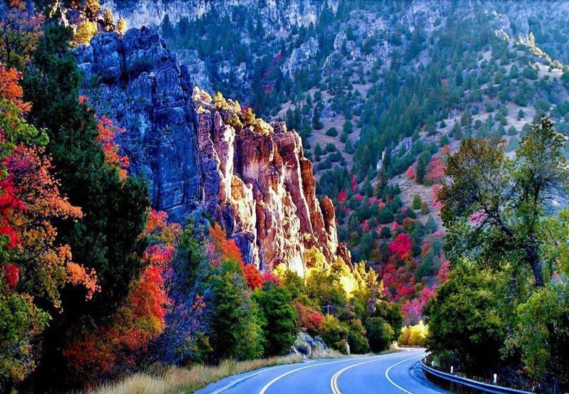 Winding Road in Canyon — Green