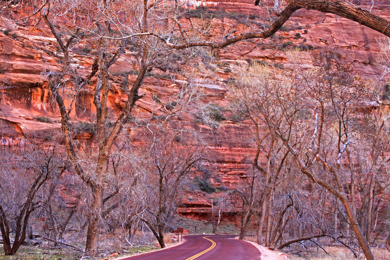 Winding Road in Canyon — Red, Serene