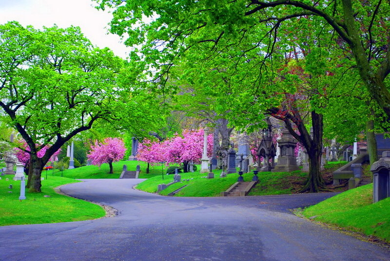 Winding Road in Cemetery