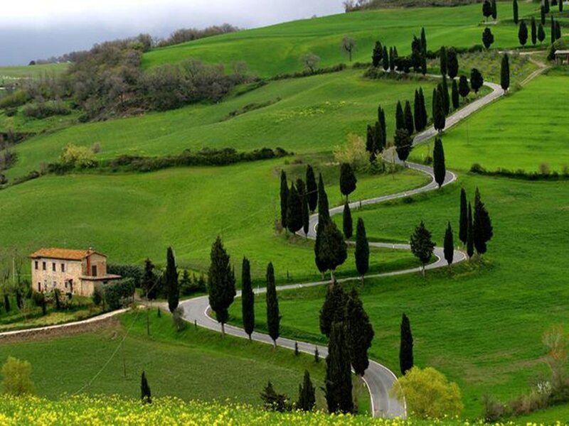 Winding Road in Countryside — Green, Serene, Spring, Photograph