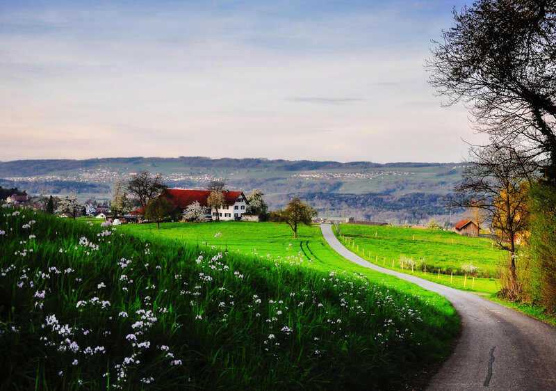 Winding Road in Countryside — Green, Serene, Spring