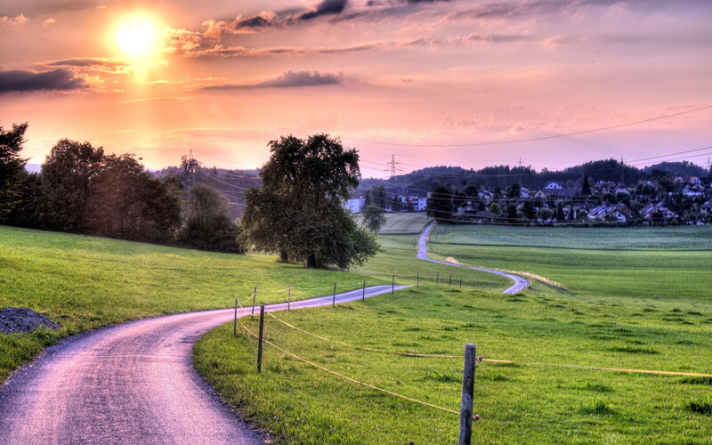 Winding Road in Countryside — Green