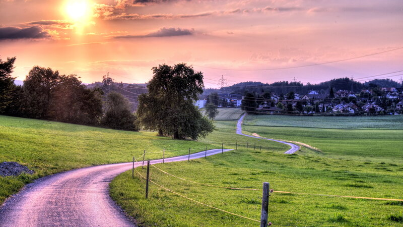 Winding Road in Countryside