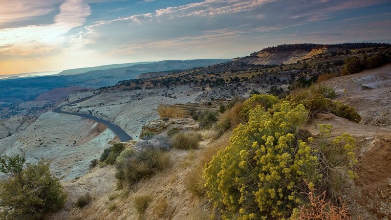 Winding Road in Desert Canyon