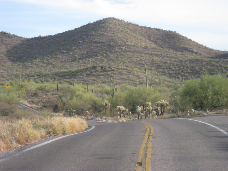Winding Road in Desert — Green