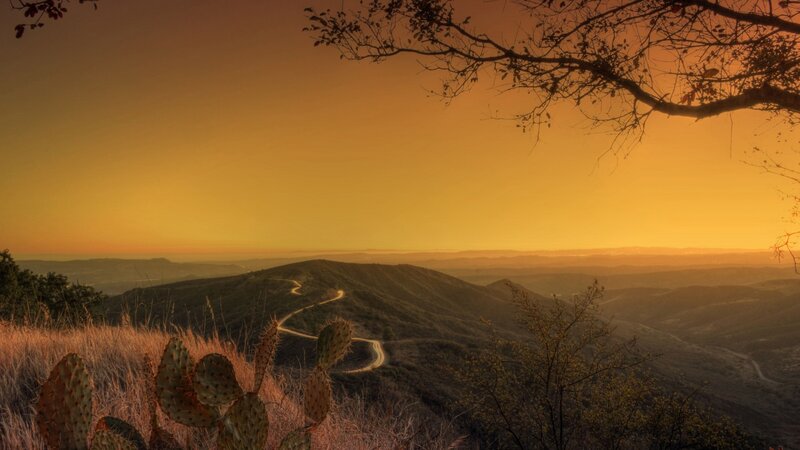 Winding Road in Desert — Orange