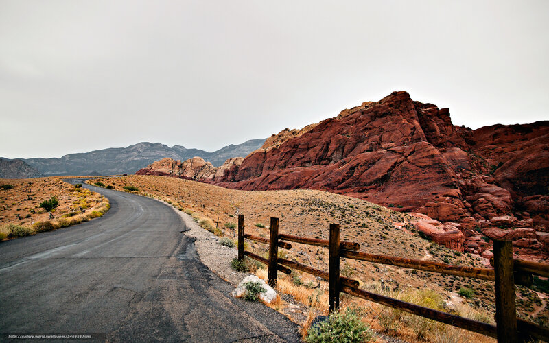 Winding Road in Desert — Red, Desolate, Afternoon
