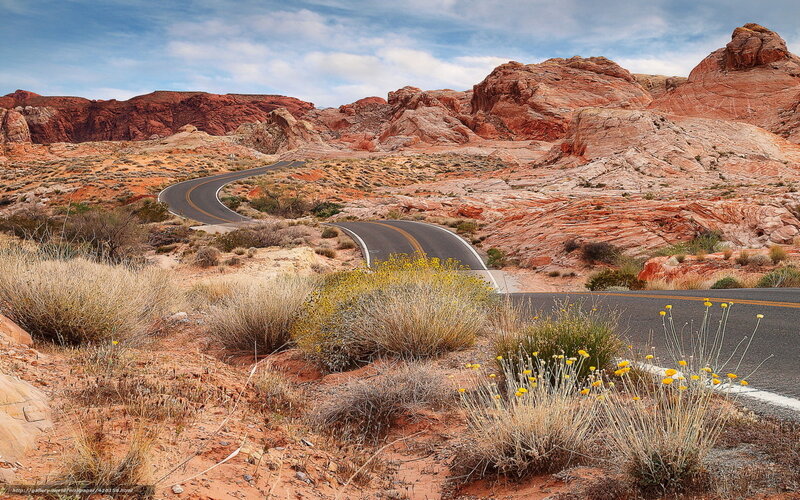 Winding Road in Desert — Red, Serene