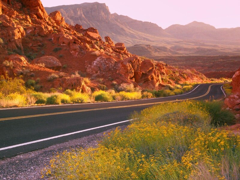 Winding Road in Desert — Red
