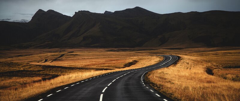 Winding Road in Field — Brown