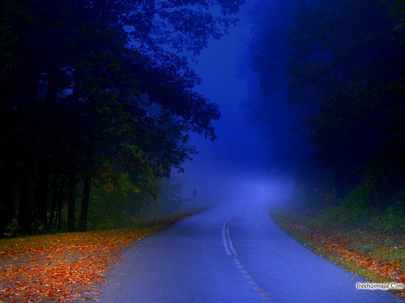 Winding Road in Fog — Blue