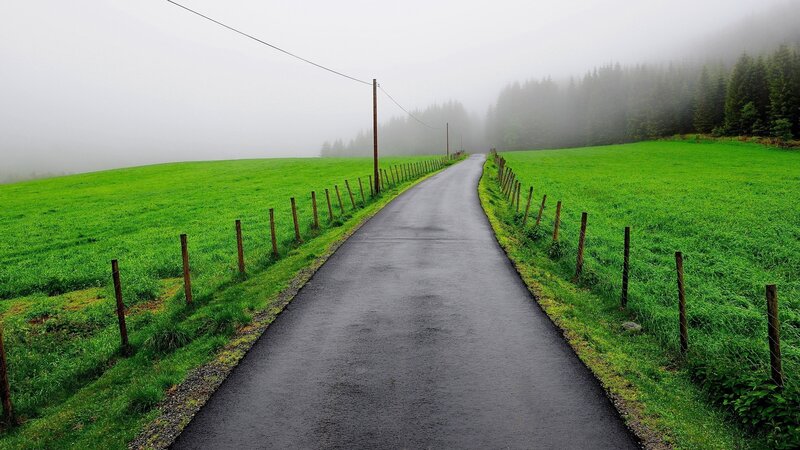 Winding Road in Fog — Green, Misty, Morning