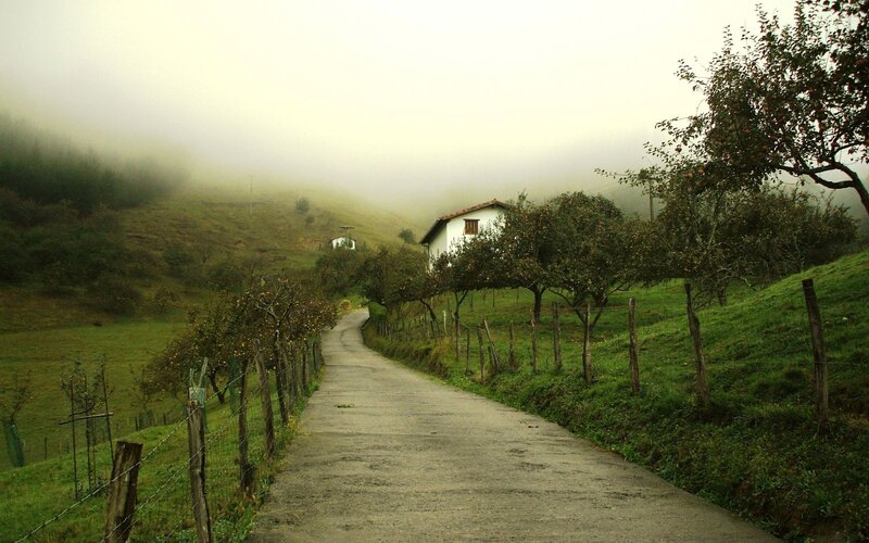 Winding Road in Fog — Green, Misty