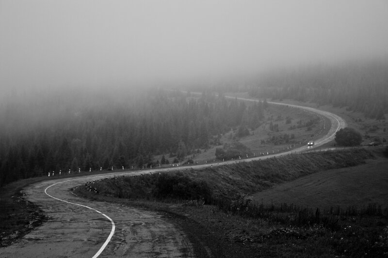 Winding road in foggy forest