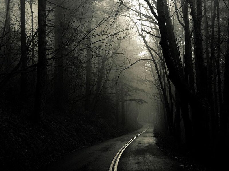 Winding Road in Forest — Black, Dark, Night, Photograph