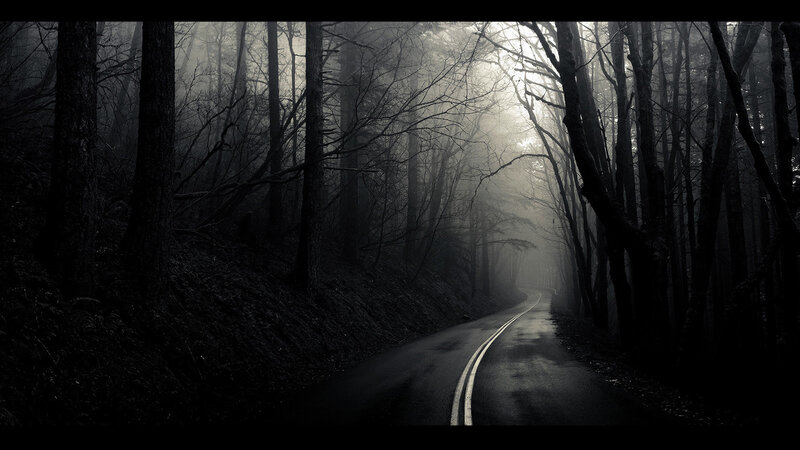 Winding Road in Forest — Black, Dark, Night, Photograph, Trees, Fog