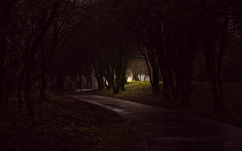 Winding Road in Forest — Black, Dark, Night, Photograph, Trees, Path