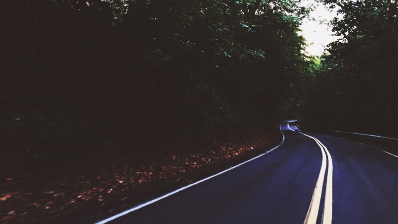Winding Road in Forest — Black, Dark, Night, Photograph, Trees, Road Markings