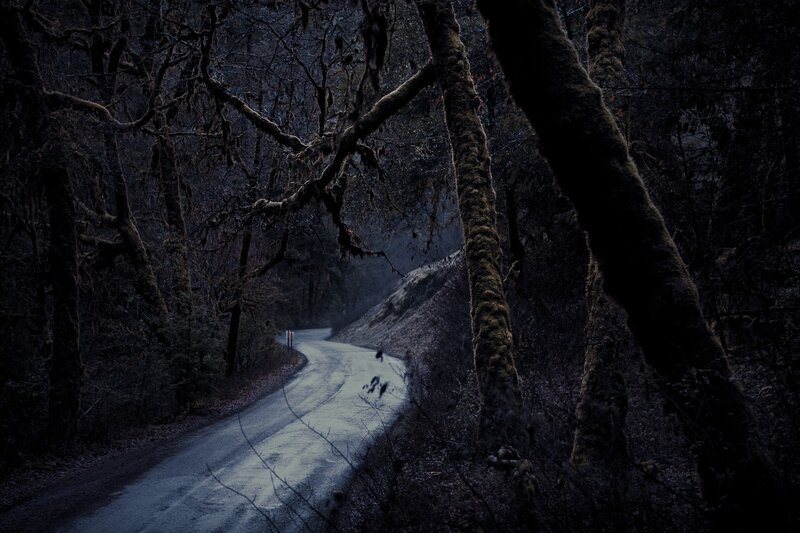 Winding Road in Forest — Black, Dark, Night
