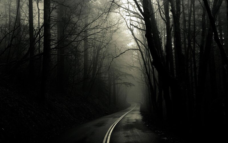 Winding Road in Forest — Black, Dark
