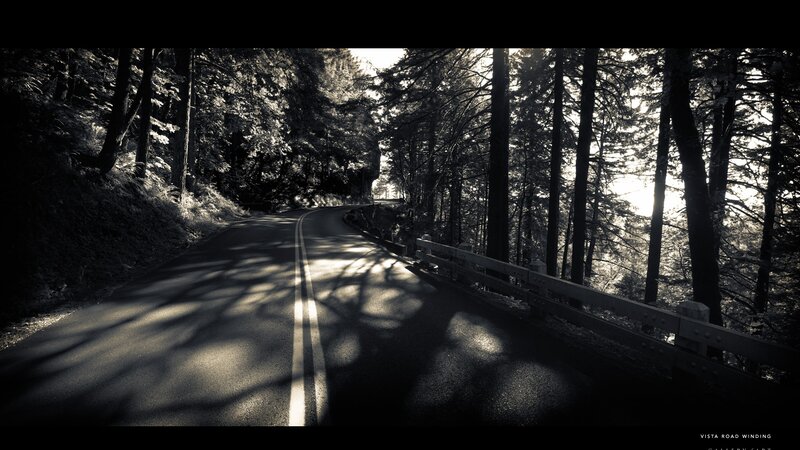 Winding Road in Forest — Black, Dramatic, Afternoon