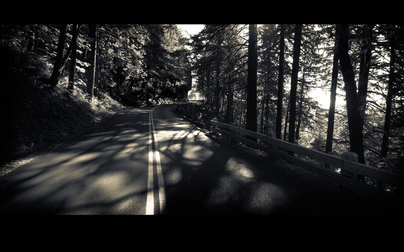 Winding Road in Forest — Black, Dramatic, Sunset, Photograph