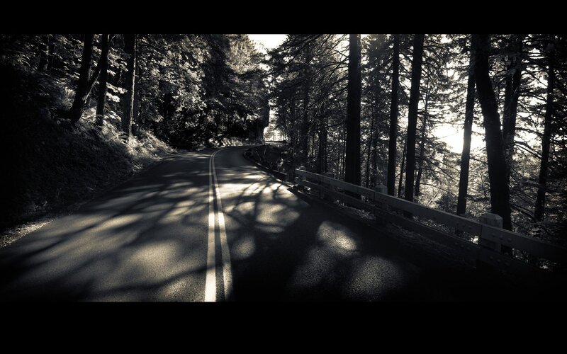 Winding Road in Forest — Black, Dramatic, Sunset, Photograph, Trees, Guardrail