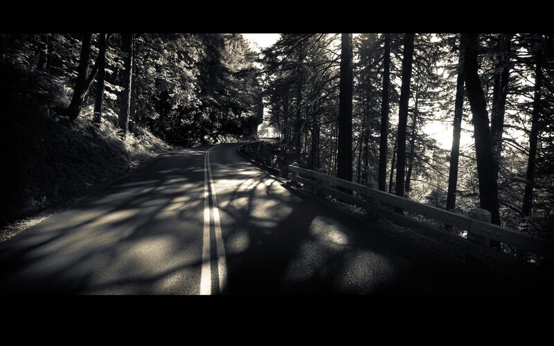 Winding Road in Forest — Black, Dramatic, Sunset, Photograph, Trees