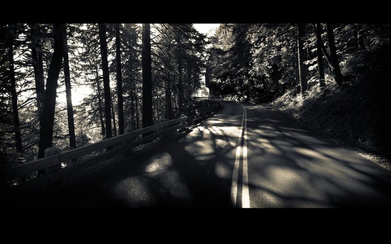 Winding Road in Forest — Black, Dramatic
