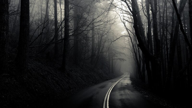 Winding Road in Forest — Black, Gray