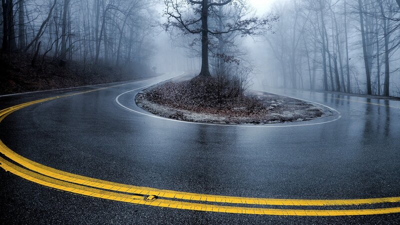 Winding Road in Forest — Black, Misty