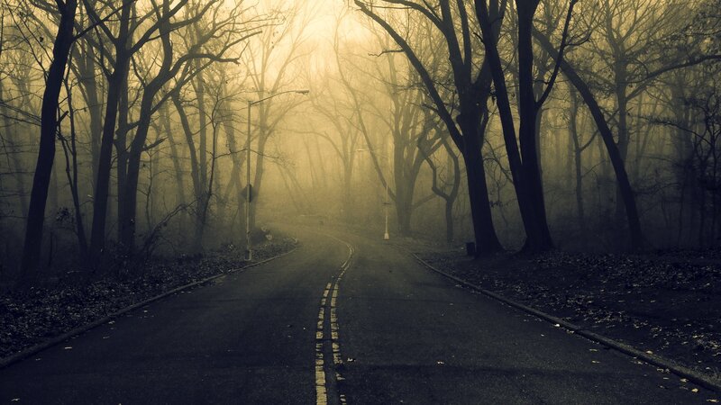 Winding Road in Forest — Black, Mysterious, Morning