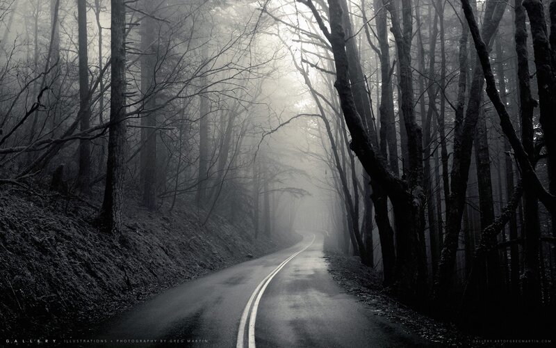 Winding Road in Forest — Black, Mysterious