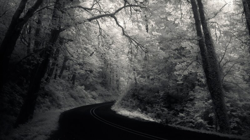 Winding Road in Forest — Black, Serene, Photograph