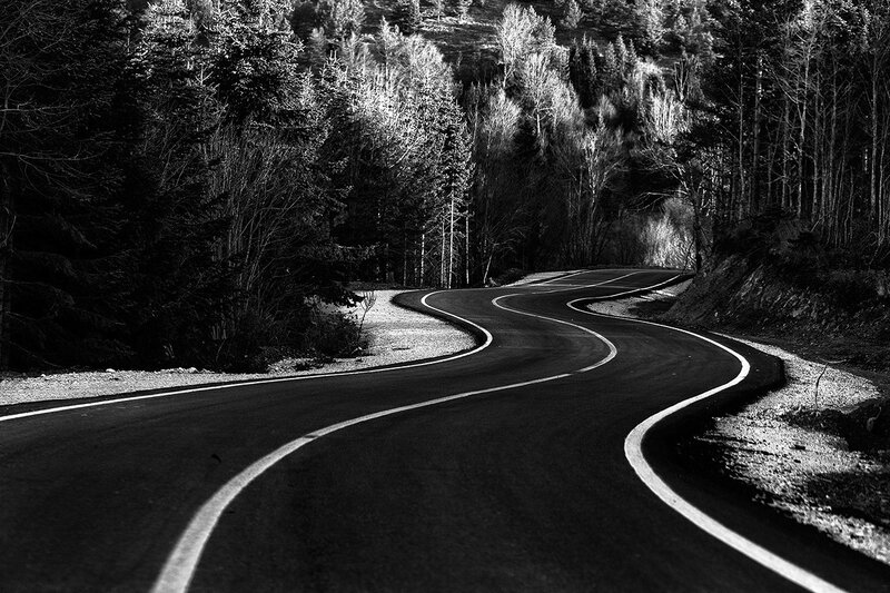 Winding Road in Forest — Black, Serene, Photograph, Trees