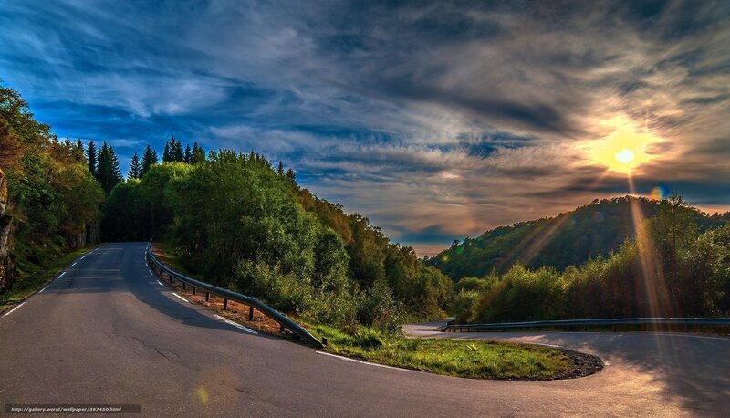 Winding Road in Forest — Blue, Dramatic, Sunset, Photograph, Trees